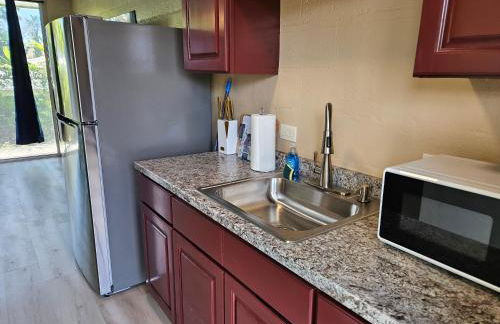 Yonegan Plumeria Hilo Hotel - Foto 25