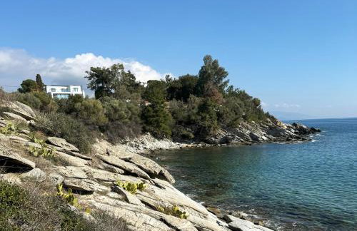 Acra Melia - Foto 62