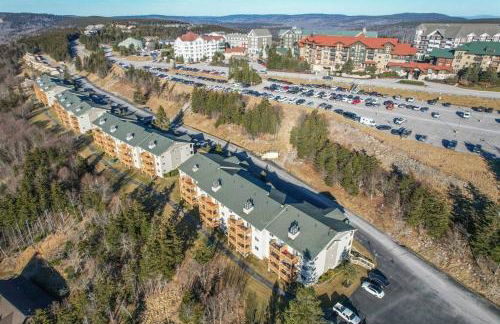 Cozy Condo at Summit - Foto 19