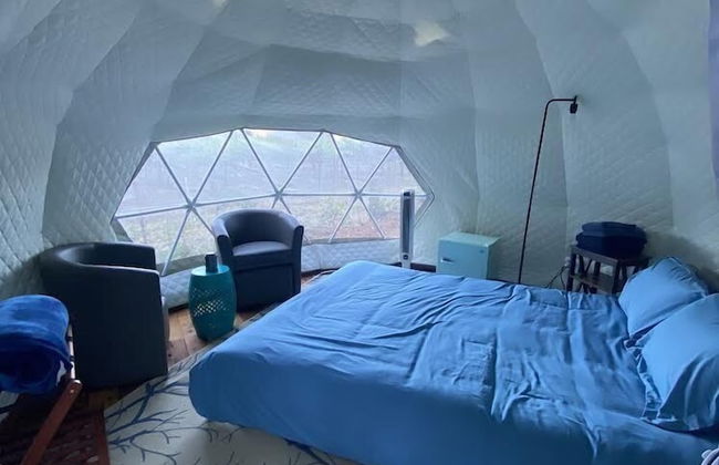 Surrey Resort - Foto 12