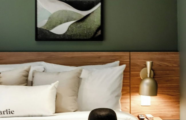 Charlie Mode Perdizes Essential - Foto 4