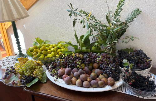 Casa das Oliveiras - Manteigas - Foto 18