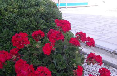 Apartments Angela - Foto 44