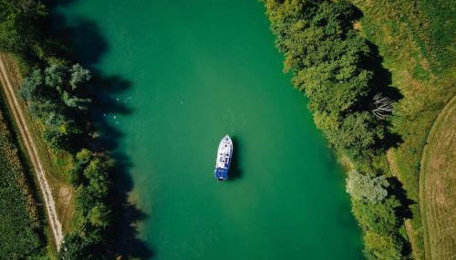 L'effervescence - Foto 5