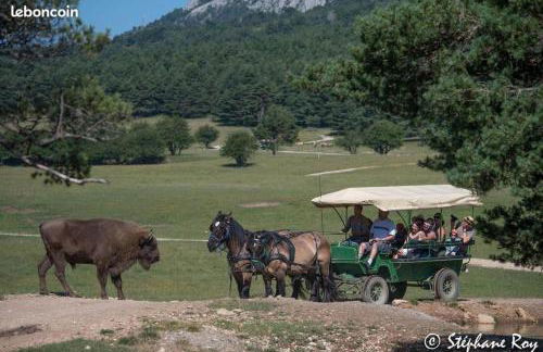 "Chalet TOURELLE "THORENC - Foto 24