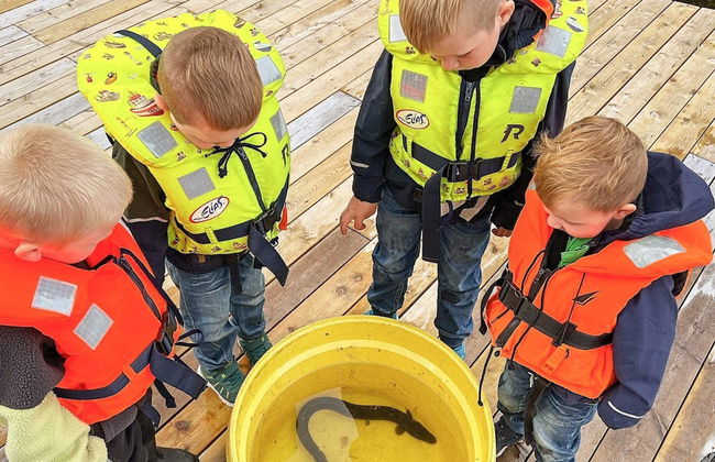 6 Person Holiday Home in Brandasund-by Traum - Foto 17