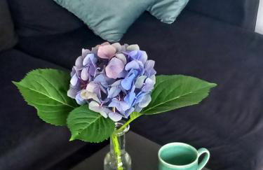 Eleonor Accommodation exclusive house - Foto 10