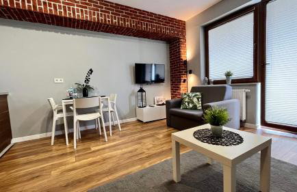 Apartament DOMINO Krynica Zdrój - Foto 11