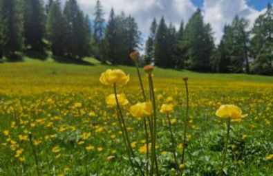 Casa vacanze Da Bianca - Photo 22