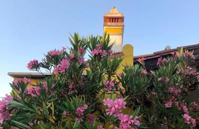 Quinta da Trombeta - Foto 14