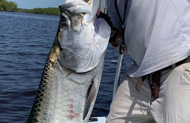 The Sailor Park - Foto 29