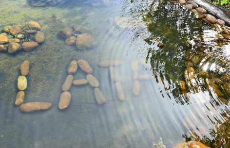 Casa de Campo Sossego da Lata - Foto 16