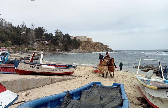 Valparaíso Northern Coast Tour - Photo 8