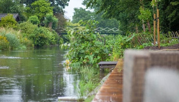 Vue depuis l’hébergement