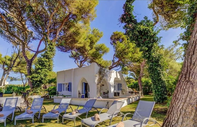 New 2020 Casa Plomer - Foto 12