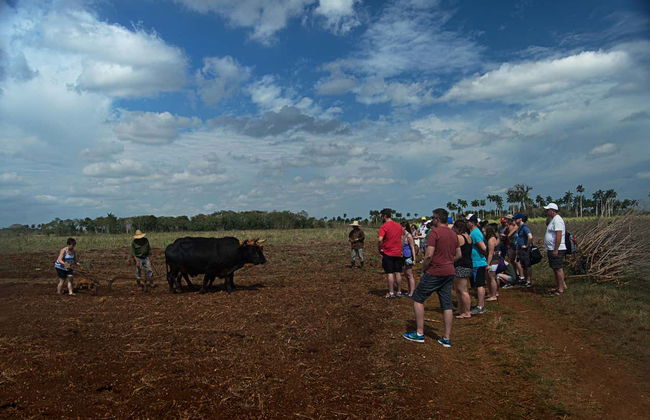 Jeep Safari nei dintorni di Yaguajay - Foto 7