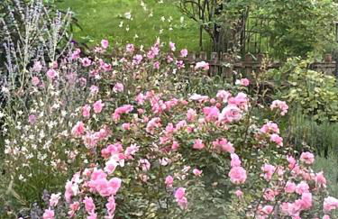 Ferienwohnung in Werder Havel Innenstadt - Photo 19