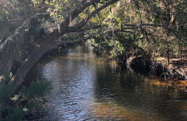 Palm Coast, FL 2BD 2BR Beach Villa! Walk to the Ocean! - Foto 12