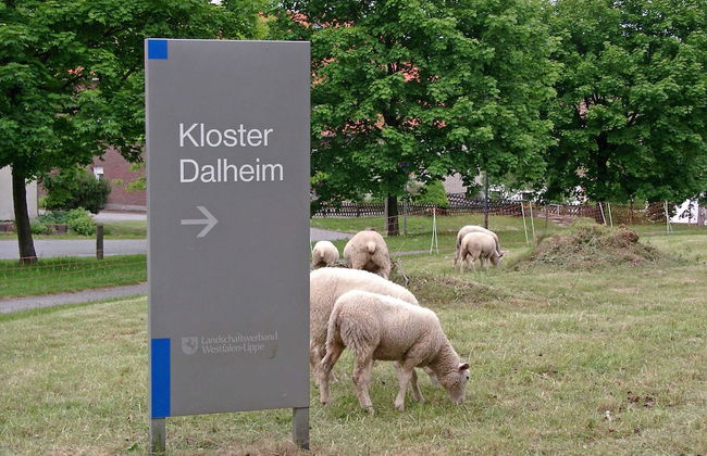 Ferienhaus in Lichtenau am Teutoburger Wald - Foto 35