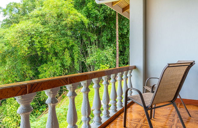 Colinas Tinamastes - Foto 39