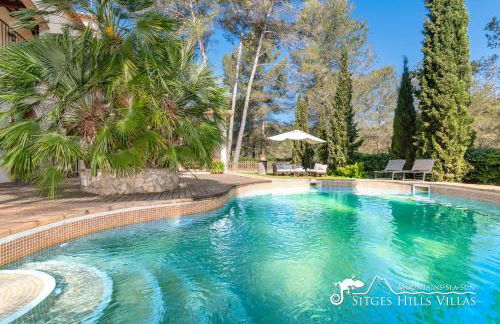 Charming Villa Tamarindo - Photo 4