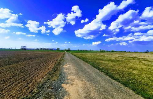 "Elbparadies" Ferienhaus am Niegripper See mit Pool - Photo 22