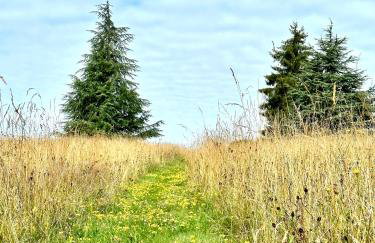 Chambre en pierre - Foto 64