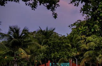 Sítio SPA Céu De Verdade , Praia de Barra Nova , Ceará - Foto 32