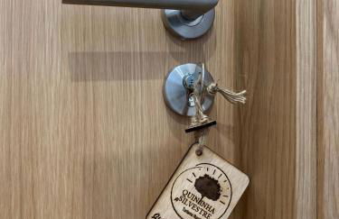 Quintinha Silvestre - Foto 45