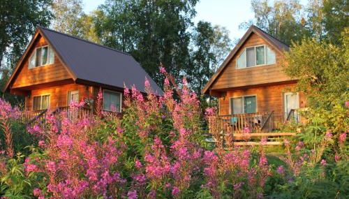 Riverside Cabins at Susitna River Lodge - Foto 3