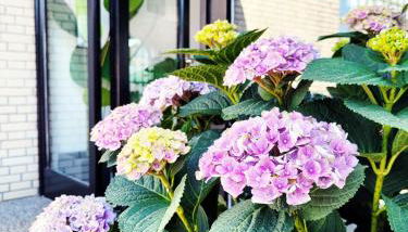 Moderne Ferienwohnung mit Sonnenterrasse & Gartenblick - Strandnah und Parkplatz in ruhiger Lage - hoher Schlafkomfort - Foto 5