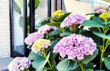 Moderne Ferienwohnung mit Sonnenterrasse & Gartenblick - Strandnah und Parkplatz in ruhiger Lage - hoher Schlafkomfort - Foto 5