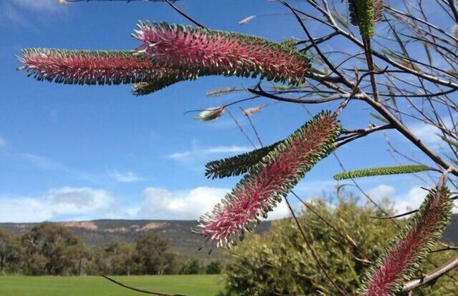 Blaze Rock Retreat - Foto 13