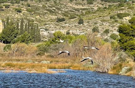 Studio indépendant tout confort pour 4 personnes 25 m carrés - Foto 29