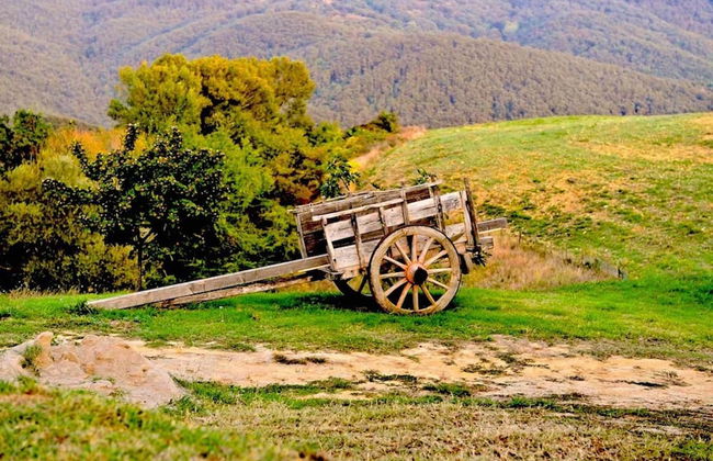 Belvilla by OYO Vocabolo Ronda3 12 p - Foto 32