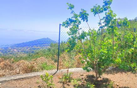 Casa Milele - Foto 7