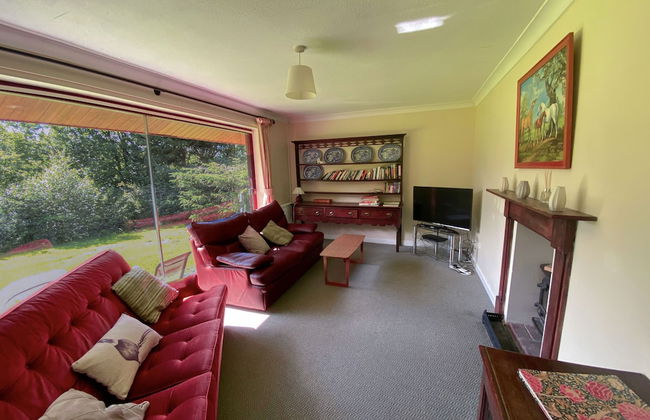 Broncoedwig Devil's Bridge - Foto 7