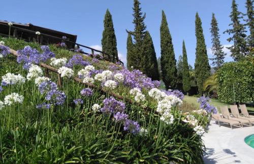 Douro Charming Chalet - Foto 53