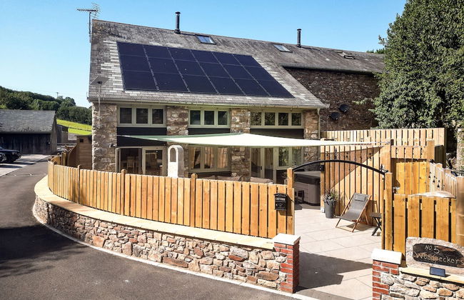 Woodpeckers in Marldon - Foto 4