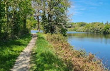 Domaine d'Annégré - Foto 26