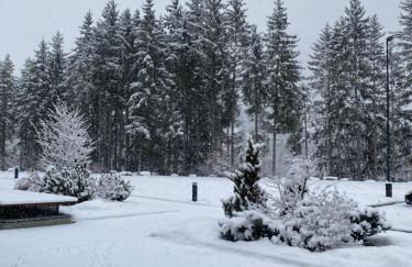 Maison Poluc - Cadeau des Alpes - Foto 26