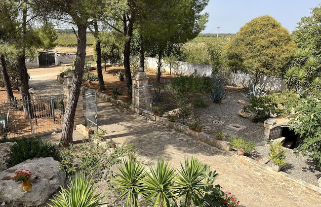 Masseria La Camardia - Foto 58