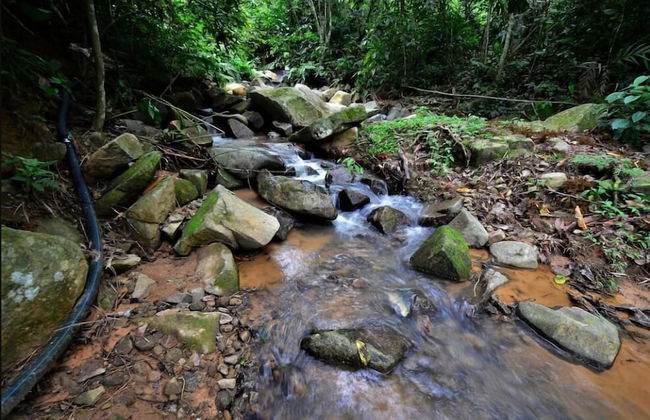 Tanarimba Bentong - Foto 45