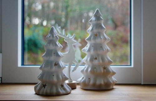 Le Fougeray - Photo 20