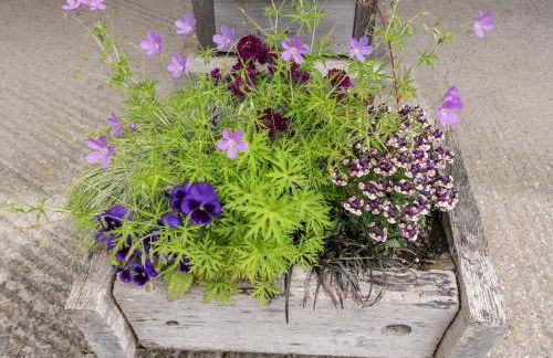 The Wool Barn - Foto 22