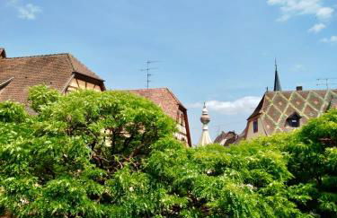 Le Carrousel - Appartement cosy centre Obernai - Foto 23