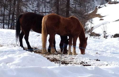 Magnificent spacious 4 bedroom mountain chalet with spa - Foto 39