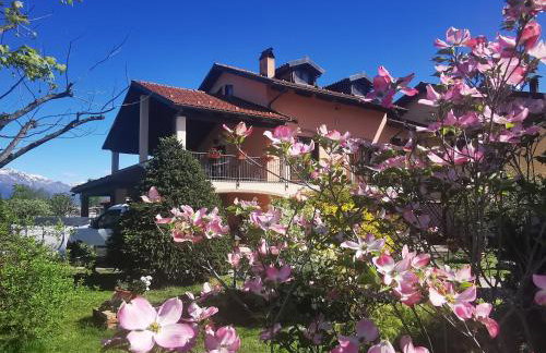 Orto del pettirosso - Foto 2