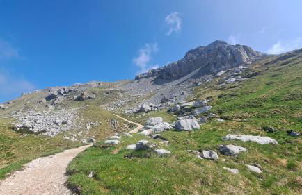 Appartamento Casa AleF - L'affaccio sul Lagorai - Foto 10