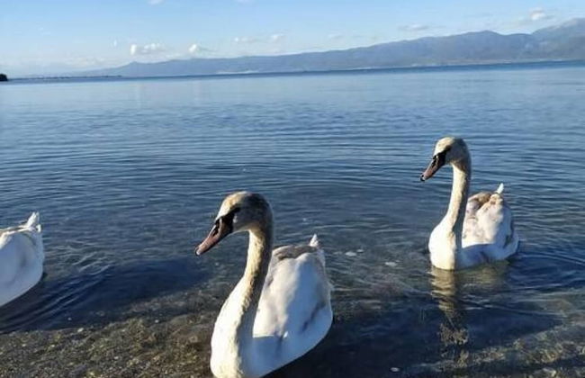 Areti s Apartment in Agios Konstantinos - Foto 41